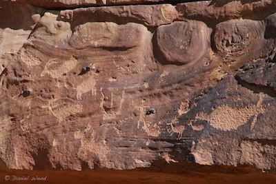 Petroglyphs of sheep