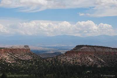 New Mexico Landscape