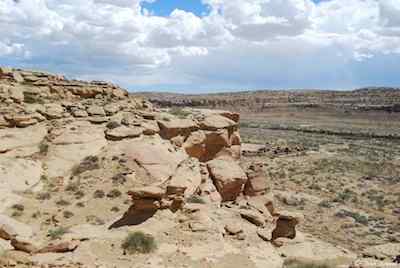 Wild Horses in New Mexico