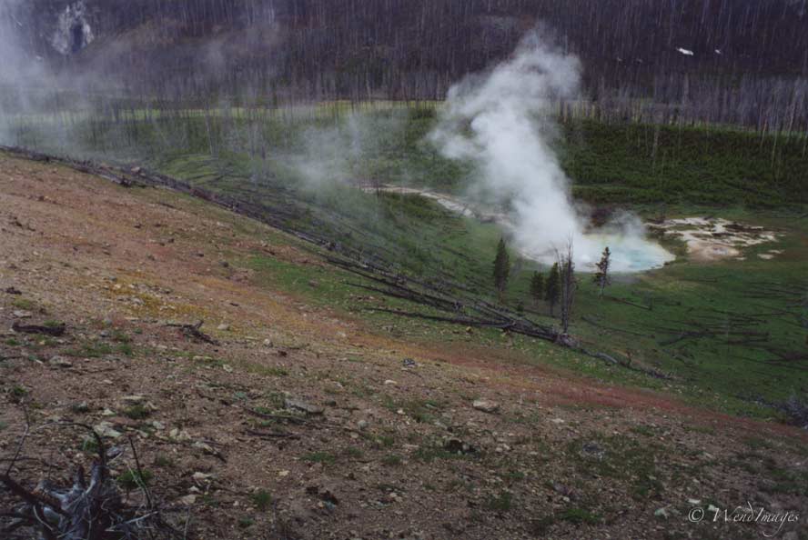 Geyser in pond, Yellowstone NP